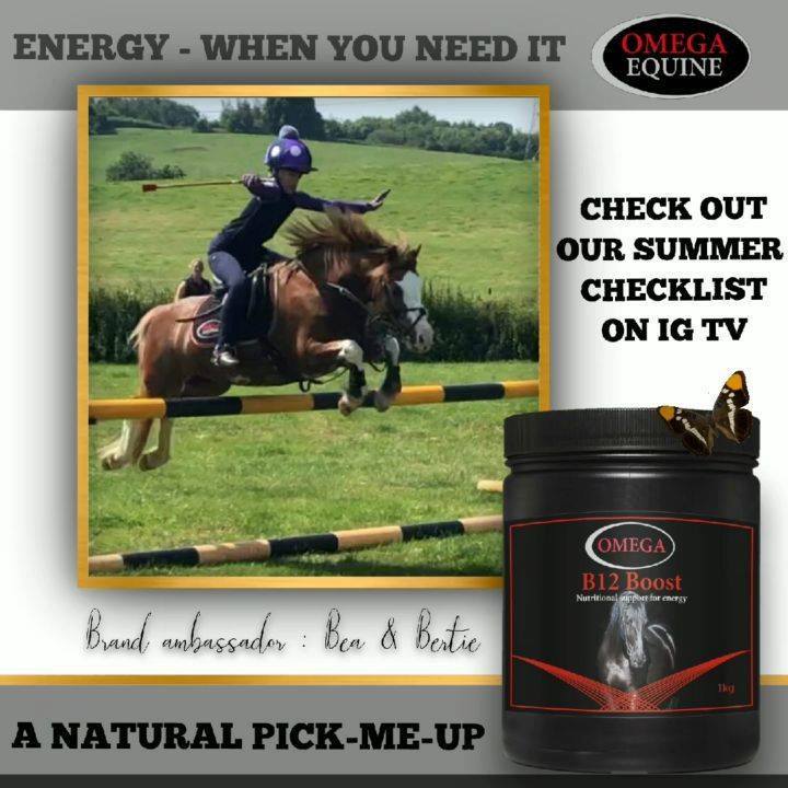 Omega Equine's B12 Boost contains 100% natural B12 Vitamin., -, -, B12 Boost won't make your horse or pony 'Fizzy'. It is used to provide your horse with the correct nutrition to increase energy 