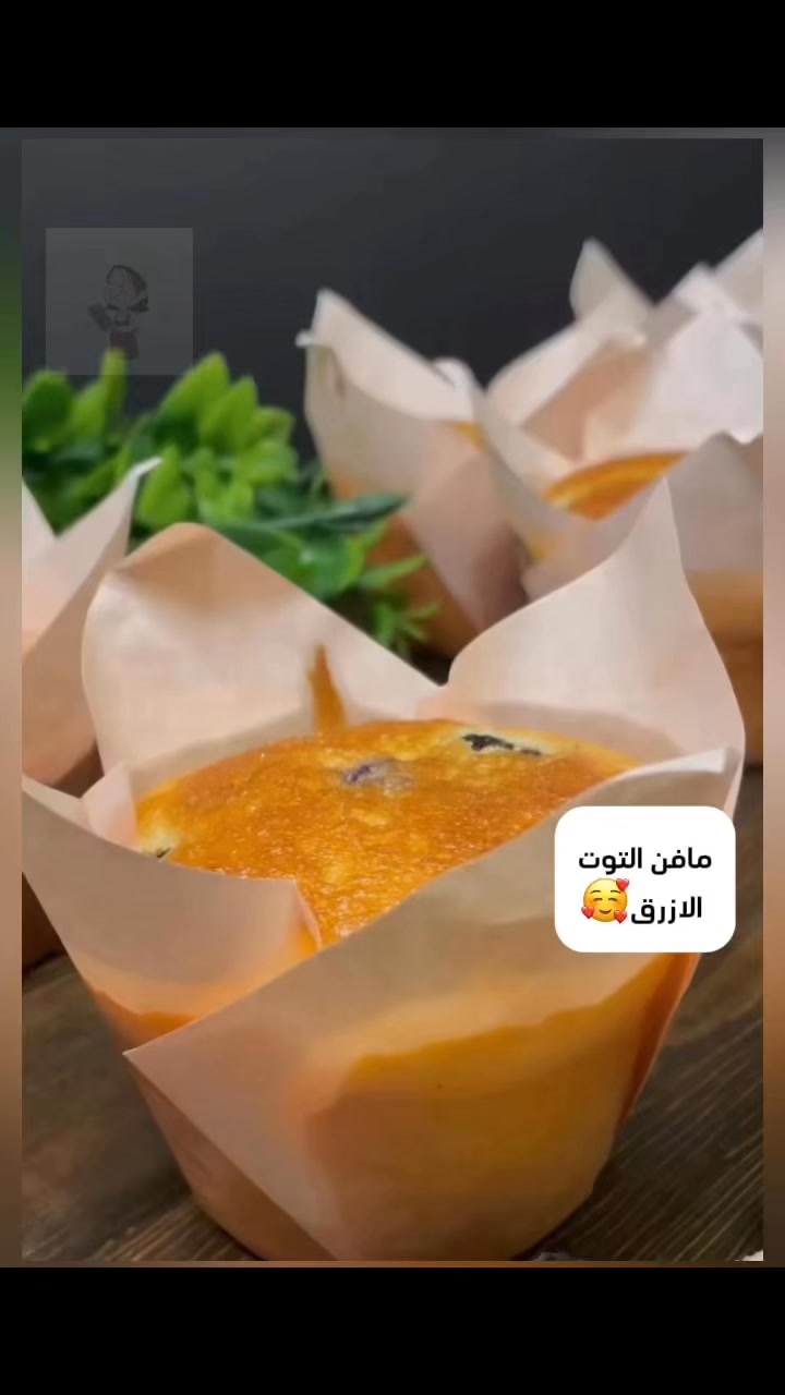 مافن التوت الازرق …الفديو السابق 🏃🏻‍♂️ : من ما جربها لسع 😅👏🏻؟: : : # ...