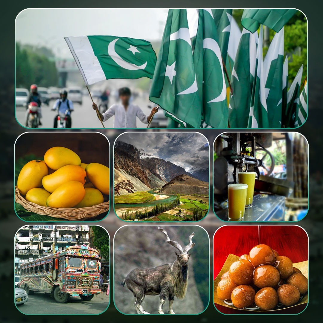 پاکستان کی قومی علامتیں اور اشیاء کونسی ہیں؟ ہر پاکستانی کے لئے ...