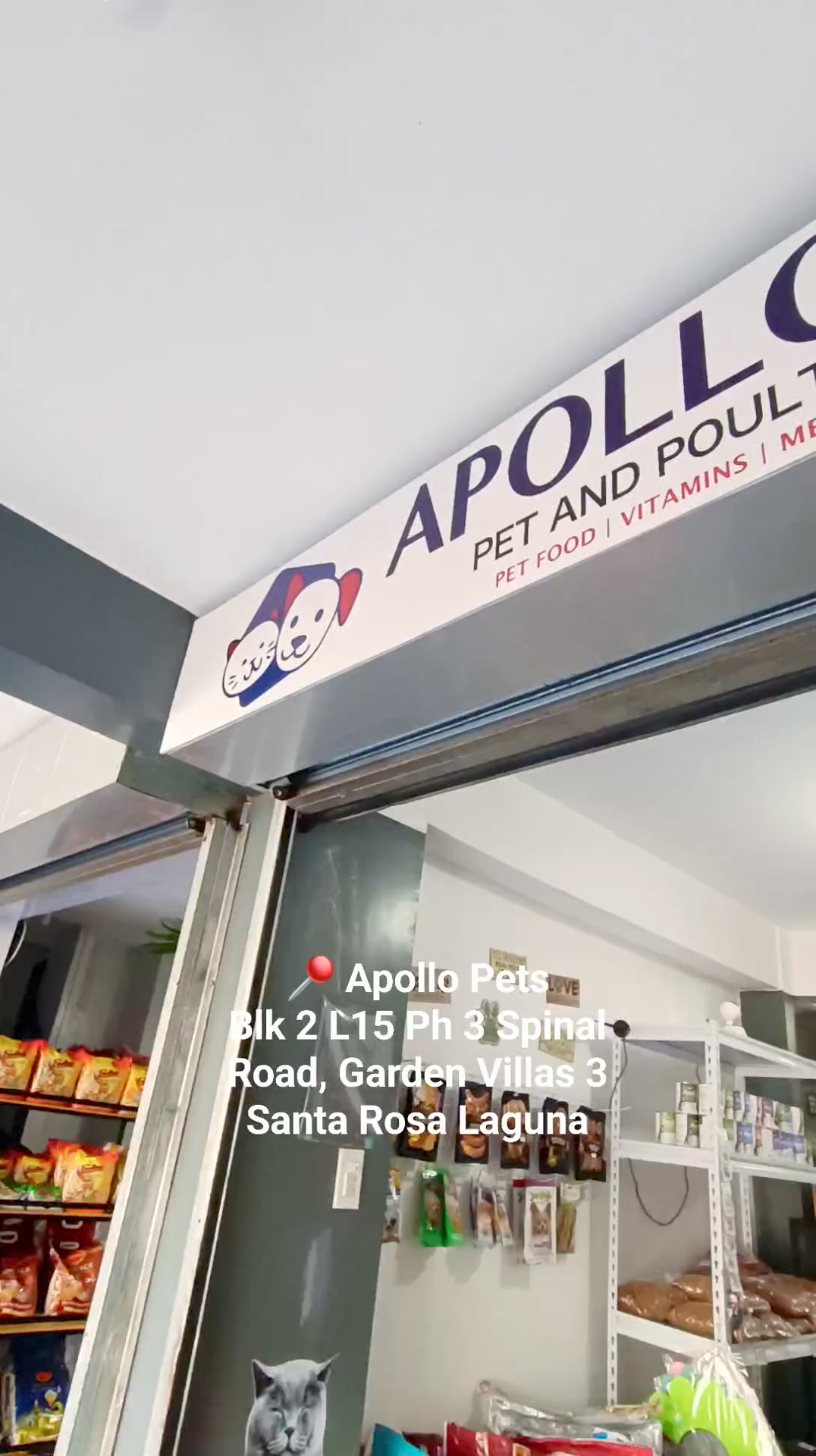 Apollo Pets Laguna | Santa Rosa