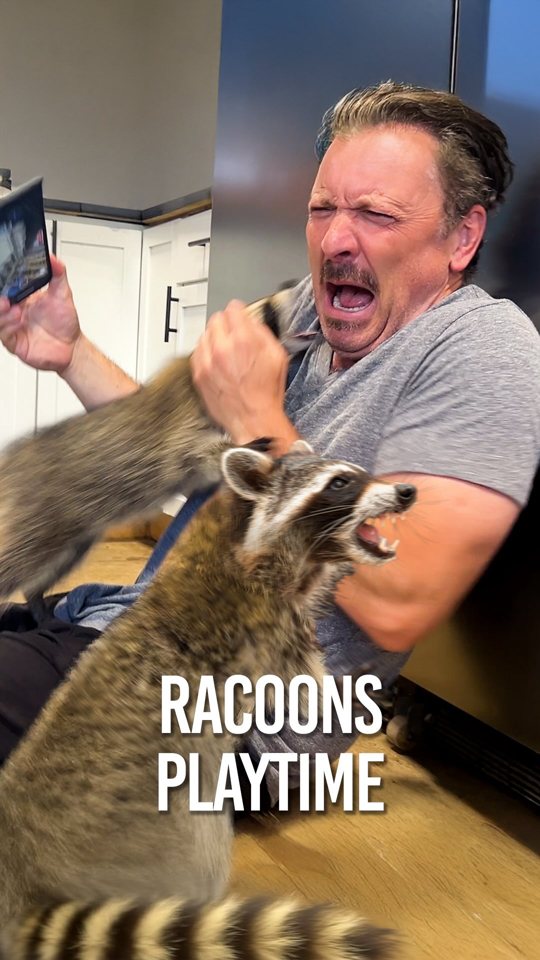 This is Ruby, a rescued raccoon! Trash pandas are smart! They can ...