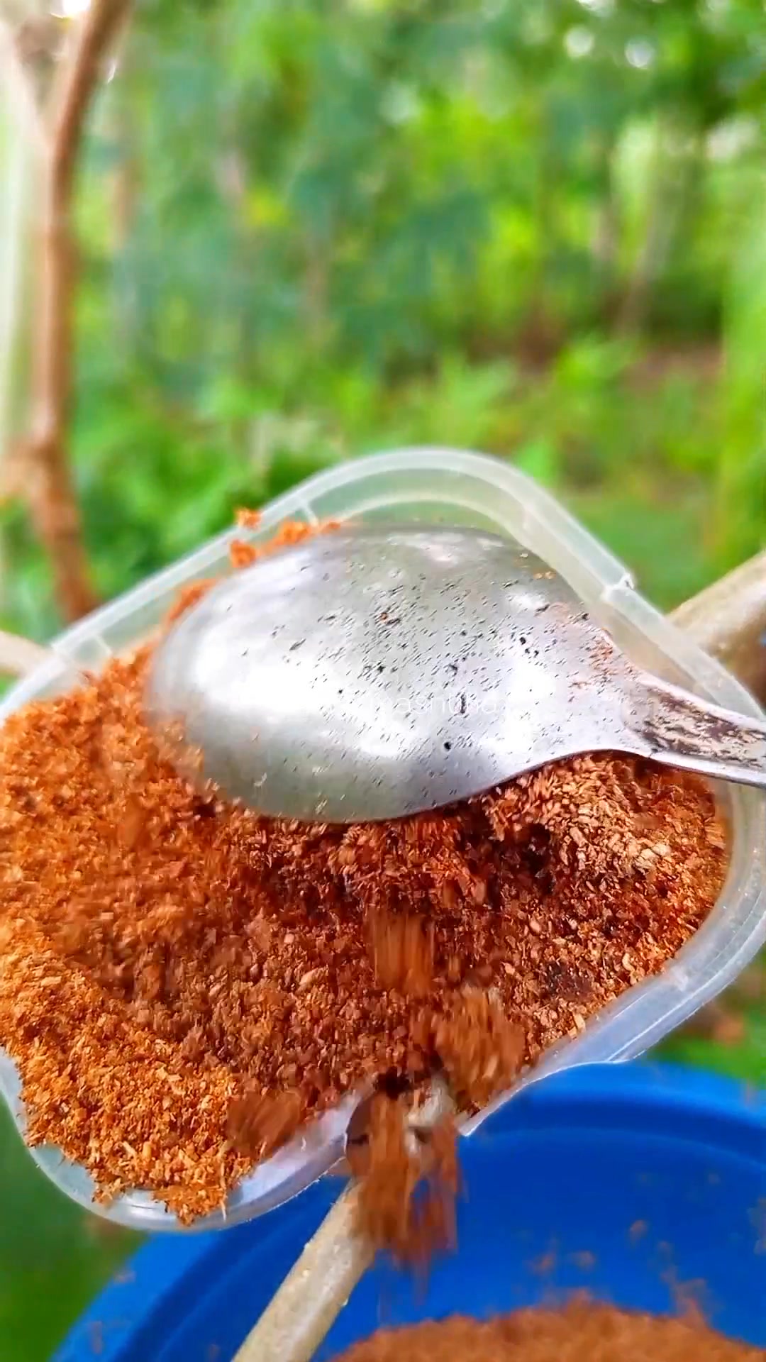 Easy and effective air layering technique using recycled plastic ...