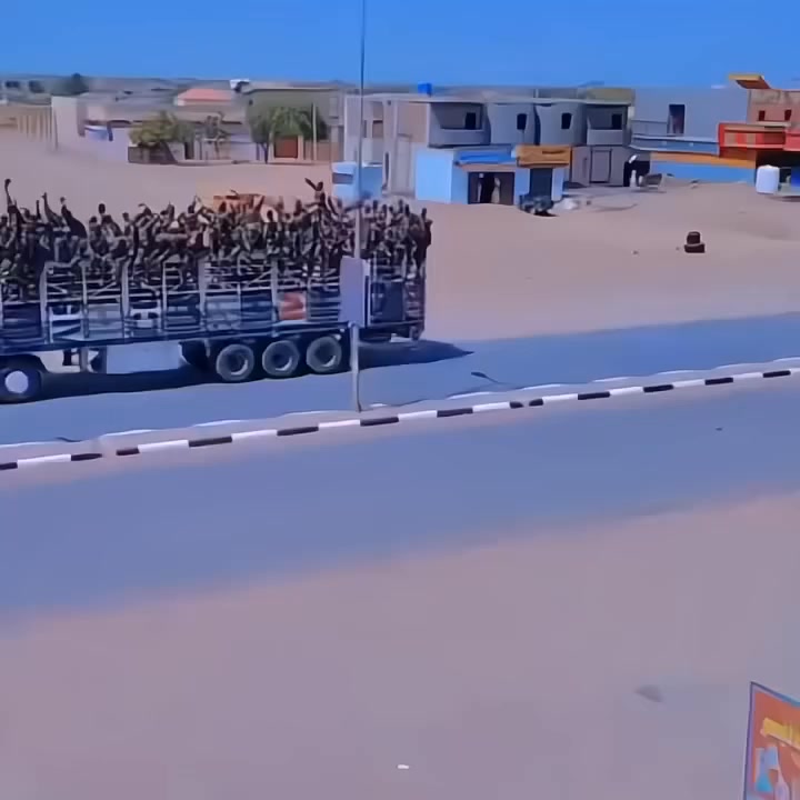 Rejaul Korim RK