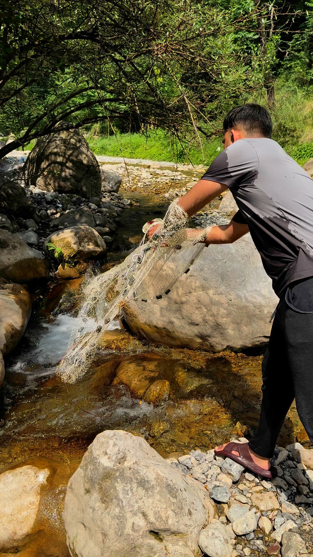 Caught fish from rocks can you believe that #netfishing | Net Fishing ...