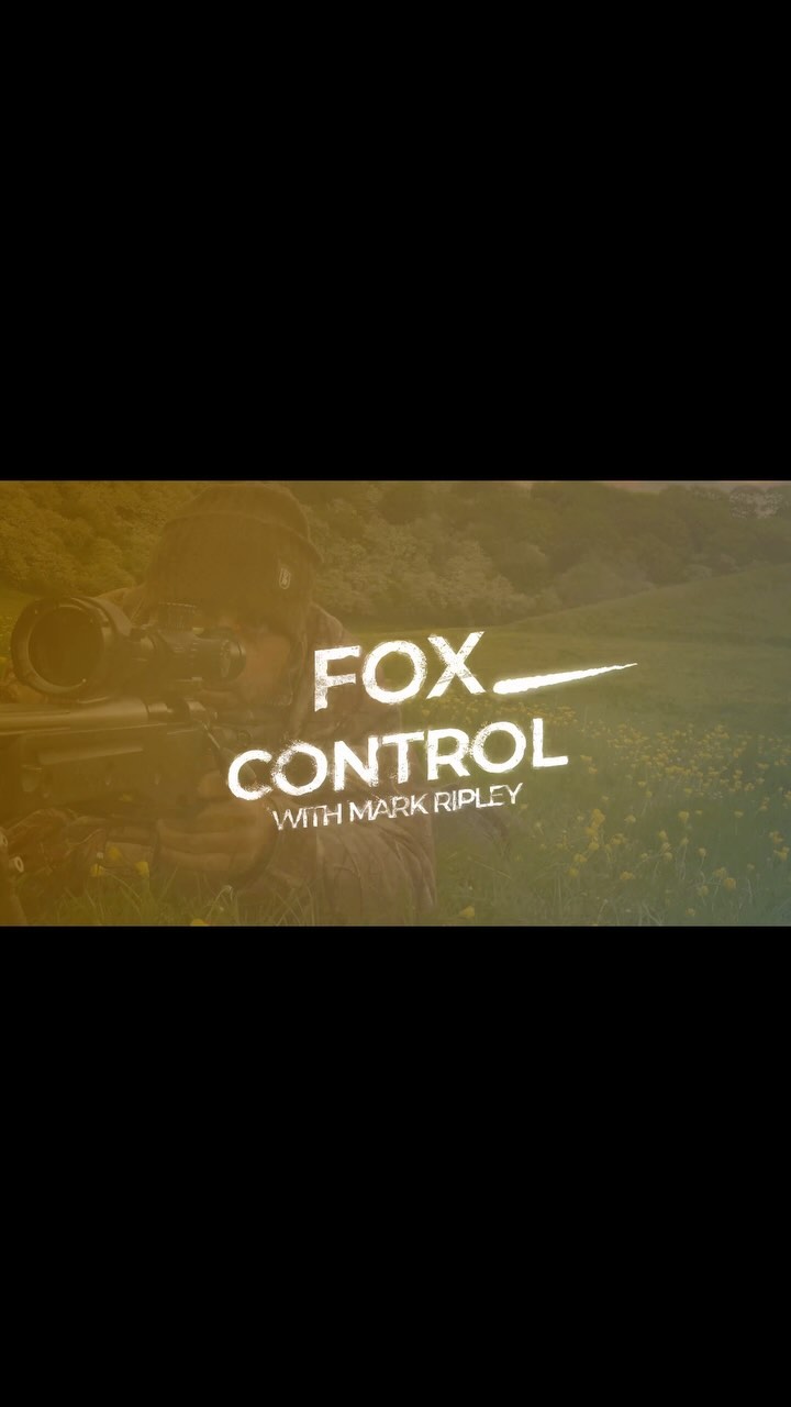 S&C TV Mark Ripley (260 RIPS) Episode 31 - Long Range Foxing is now ...