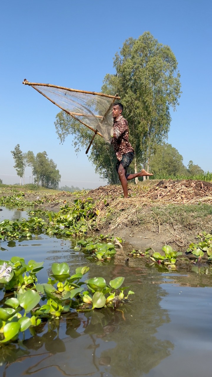 Old Method Push Net Fishing in Kochuri Panna #reelsviralシfb #embfishing ...
