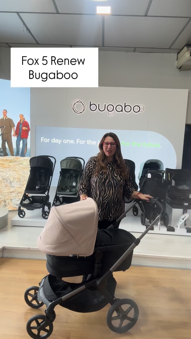 paul frank bugaboo fabric set Fox Bassinet Set, Green Melange : Baby edition collaboration Abshoo Causal Canvas Stripe Color:Wild Oak ride snowboard