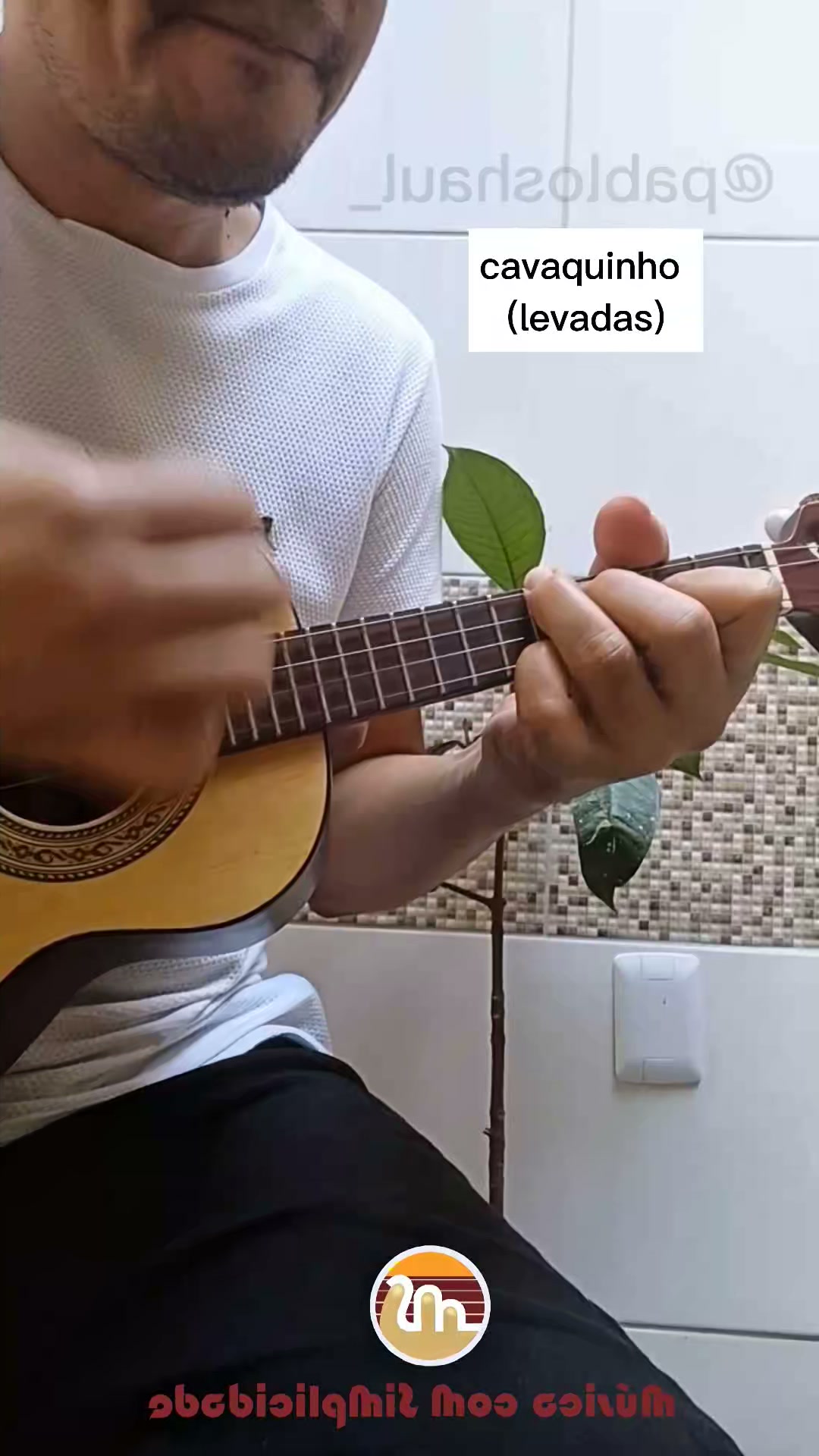 🎶🇧🇷🏡Cavaquinho（カヴァキーニョ）は弦楽器で#ブラジル発祥では