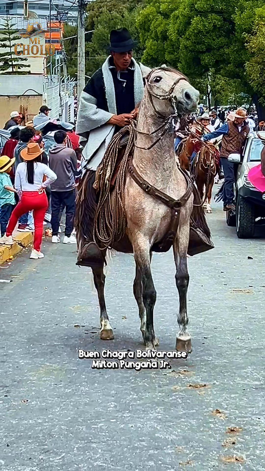 Buen Chagra🤠 Bolivarense #NationalPride | MiCholo | Facebook
