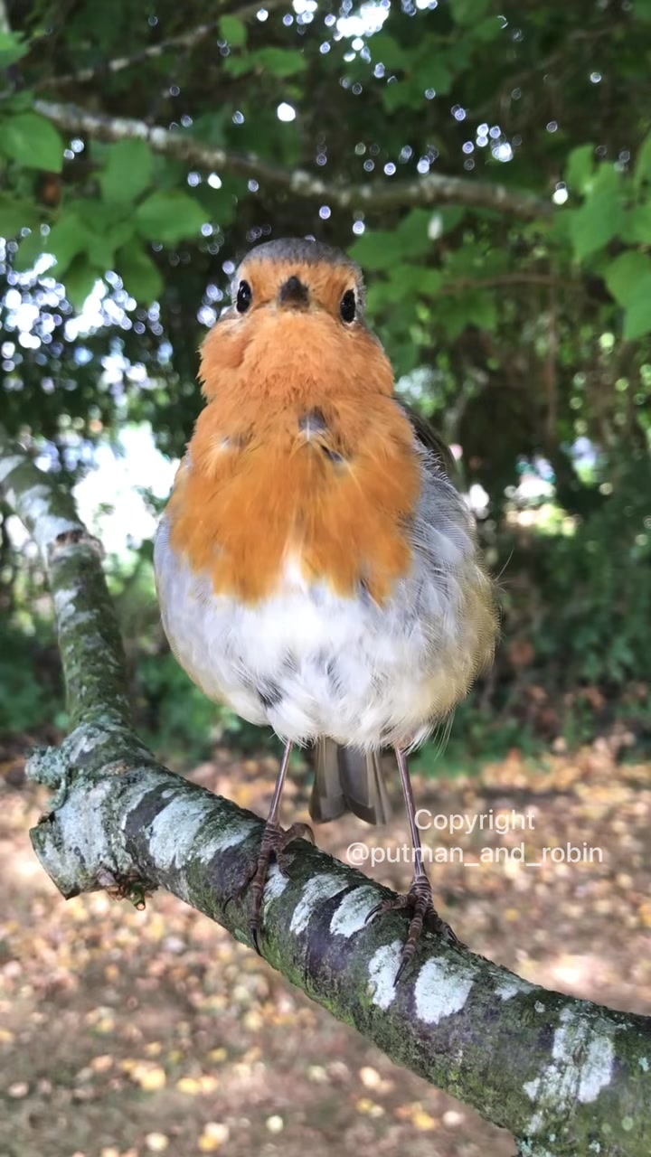 Bob 🥰 He had his eye on something! | Putman and Robin | Facebook
