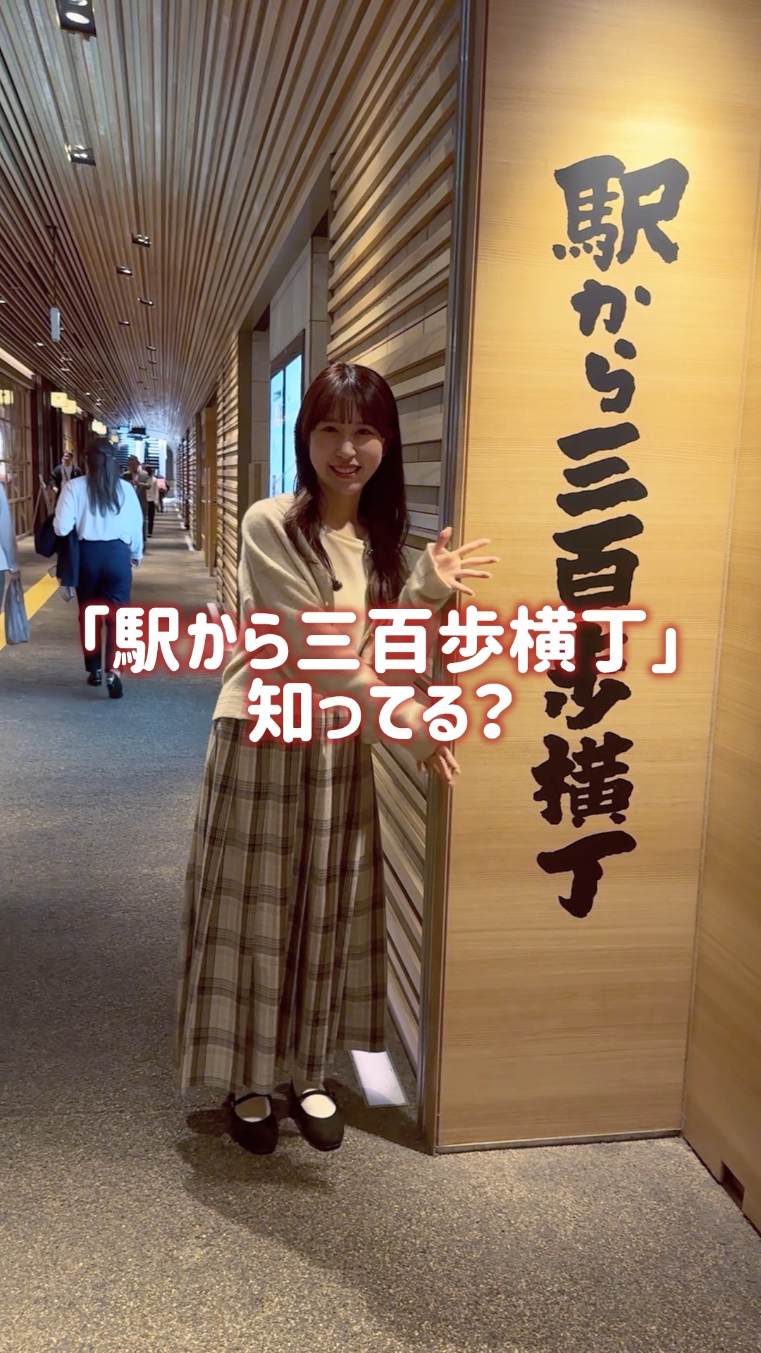 駅 から 三 百 歩 横丁