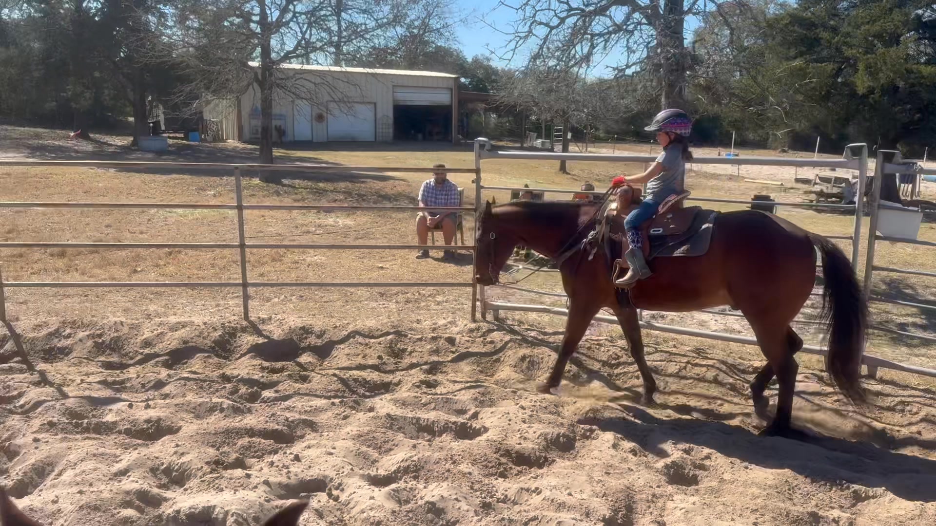 Ashley's 2nd lesson and Rooster is so good for her ️ ️ # ...