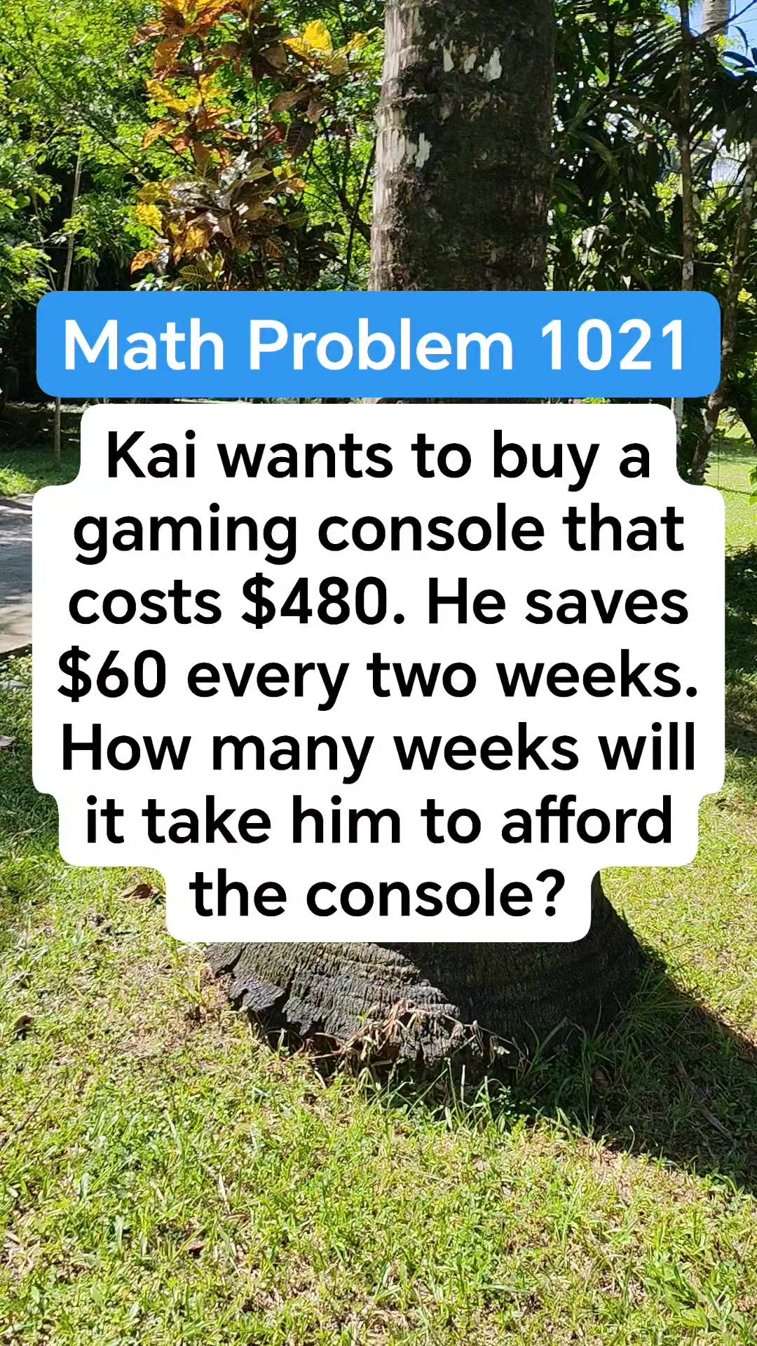 Math Problem 1021 Kai wants to buy a gaming console that costs $480. He ...