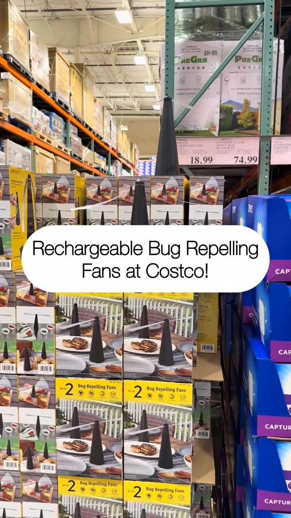 Rechargeable bug repelling fans are in 2-pack at Costco! | Julianna ...