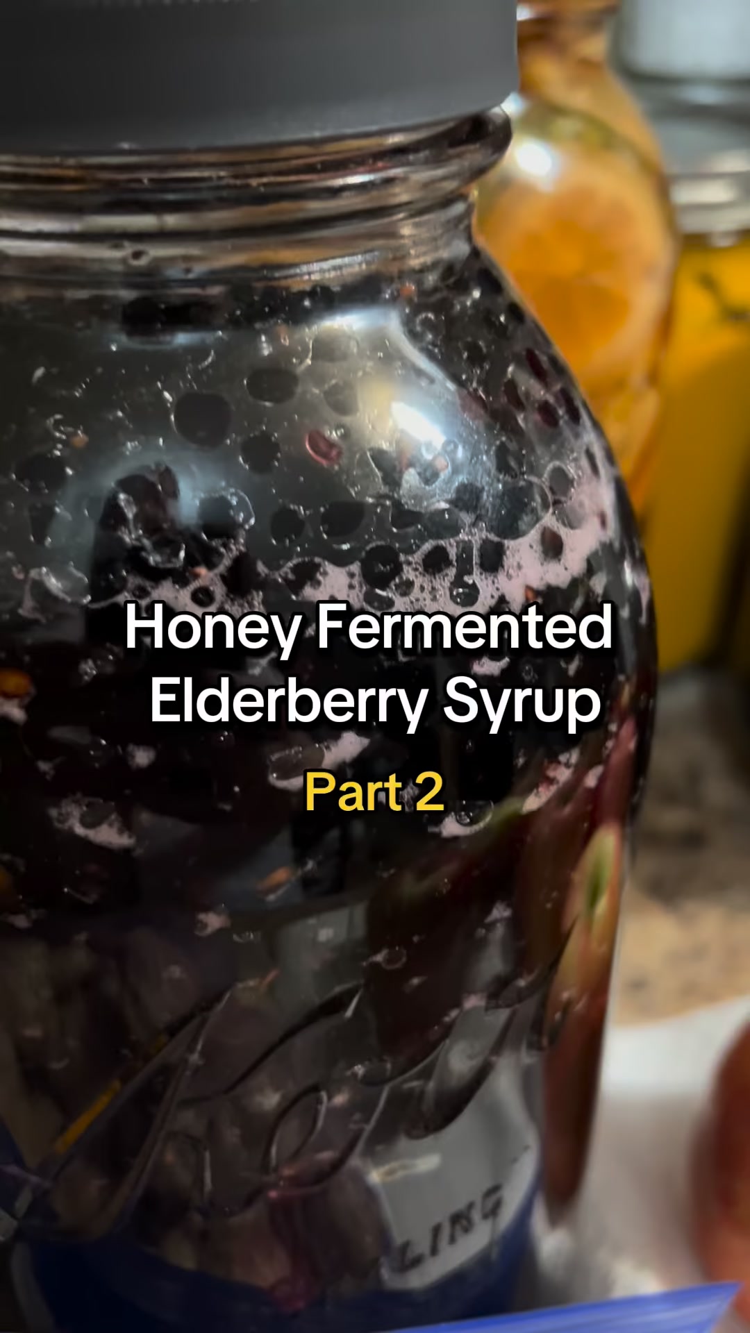 Honey Fermented Elderberry Syrup Combine raw elderberries with raw ...