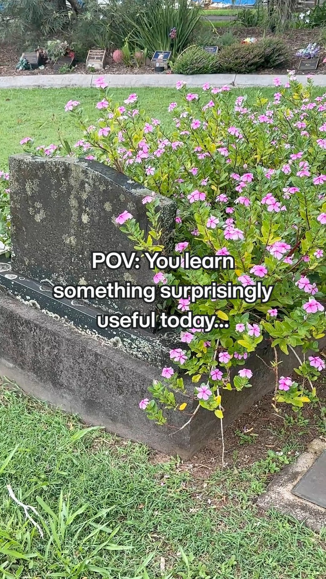 Did you know you can search cemetery records online to help locate ...