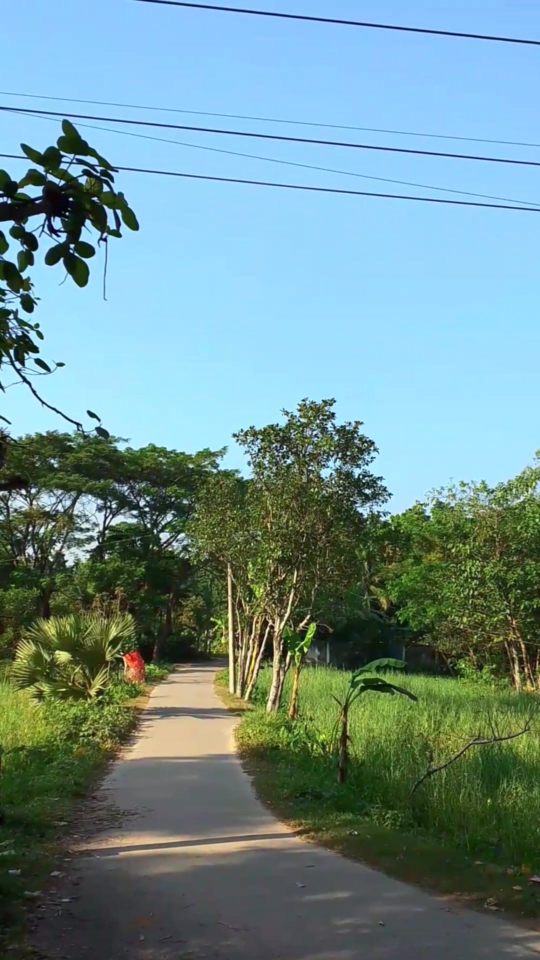 চলেন ভালো হই 🌸 . . . . . . . . . . #rs_robiul_333 #viralvideo | R S ...