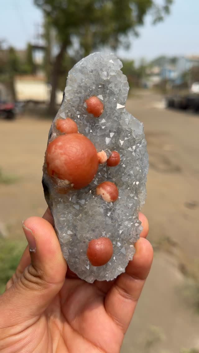 A breathtaking display of multiple Red Botryoidal Fluorite crystals ...