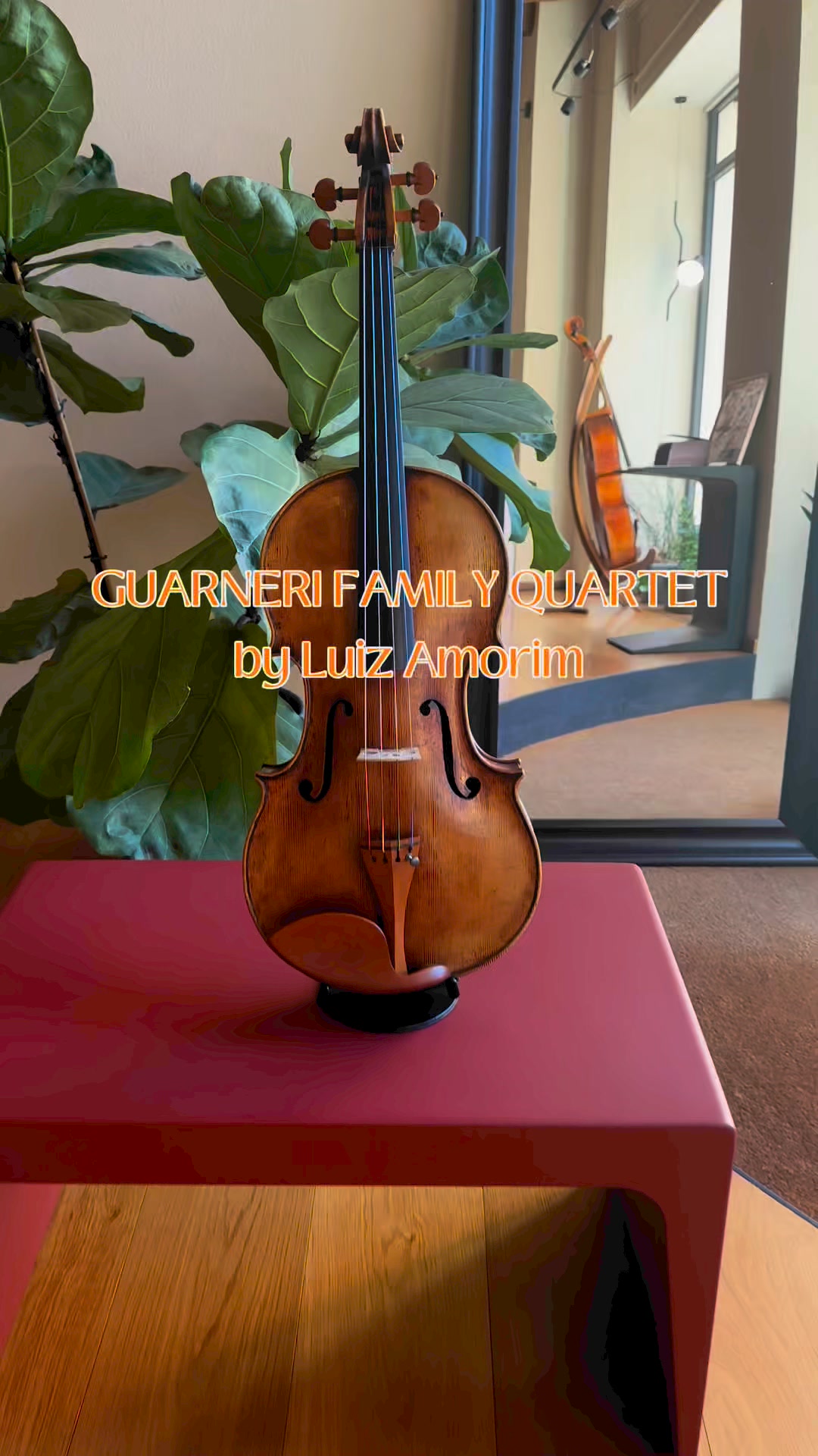 Guarneri 'Primrose' viola by Italian maker