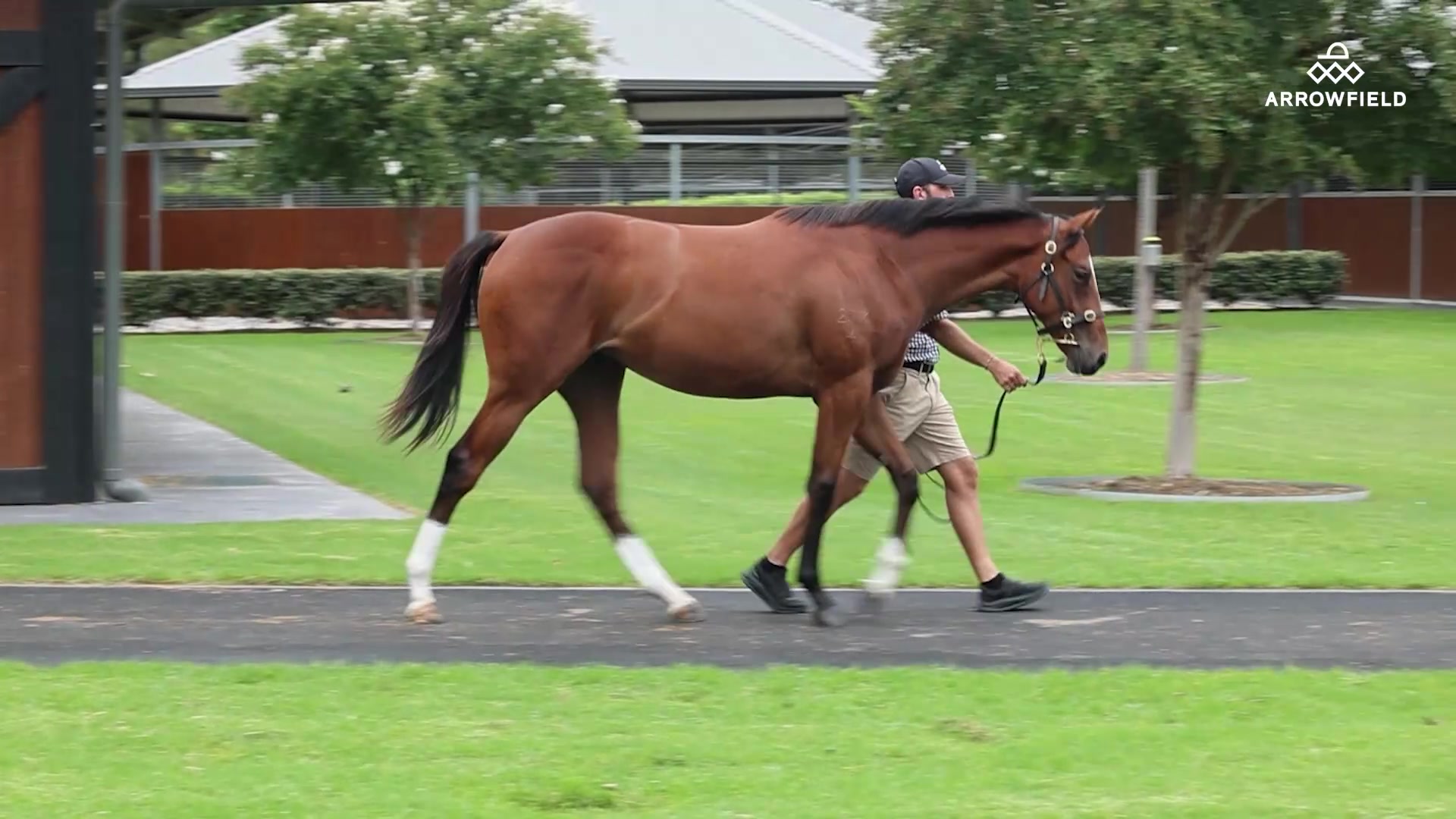 Another exciting filly added to the stable 🐎✨ We were pleased to