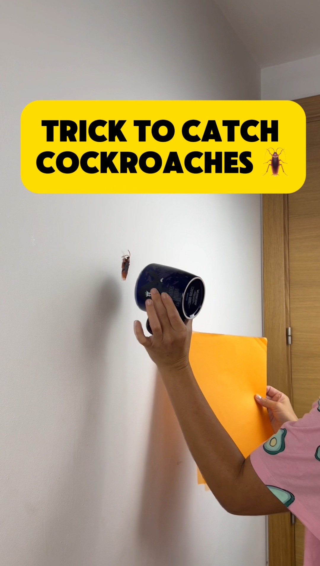 Trick to catch cockroaches 😳 this is genius! | Alex P | Facebook