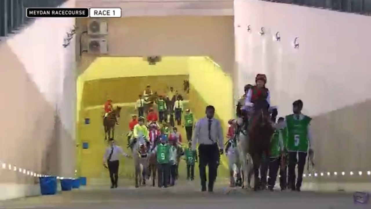 2023 Al Maktoum Challenge Round 1 - Meydan Racecourse | champion ...