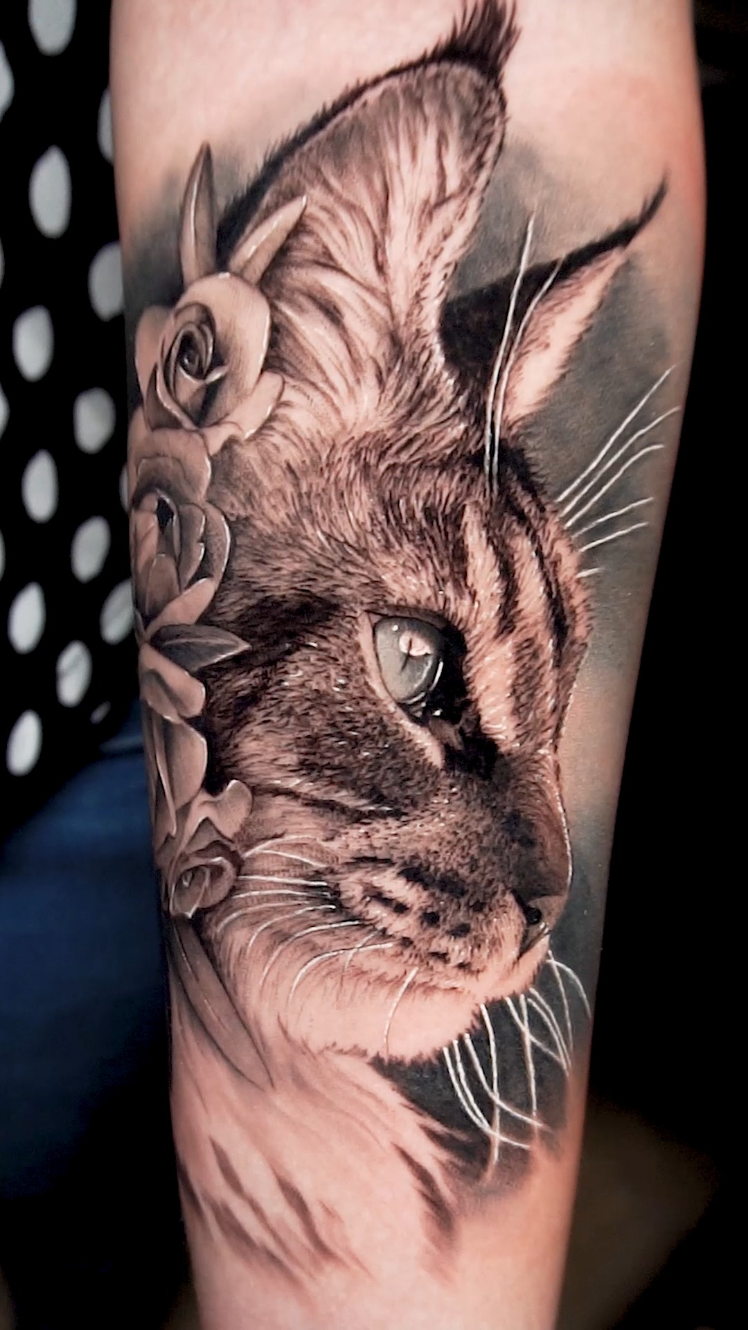 Les Plus Beaux Tatouage De Chat