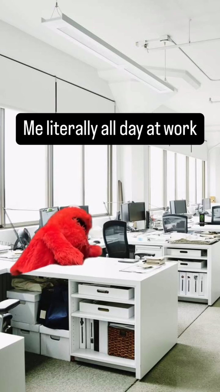 The Adult Life