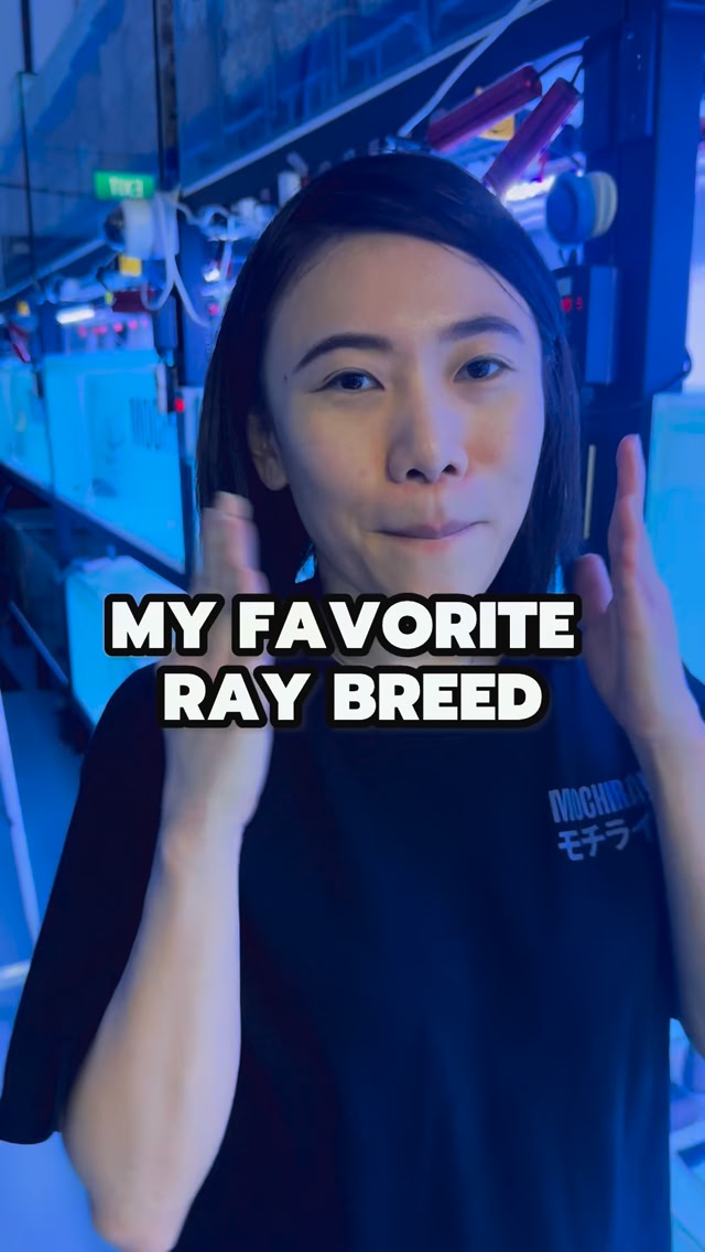 Love all my rays equally yes, but if I had to pick a favorite - it ...