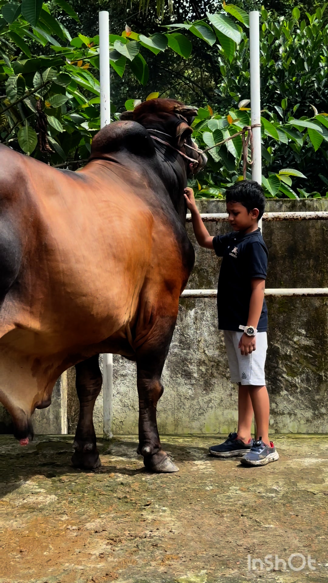 GREENTECH RANCH. | Dhaka