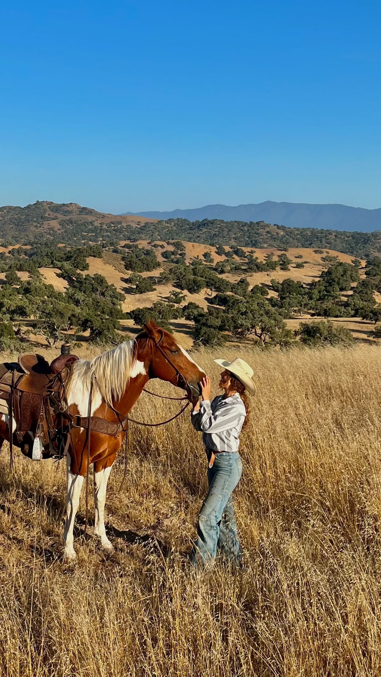FP Ranch Beef - A glimpse at ranch life in Santa Barbara... | Facebook