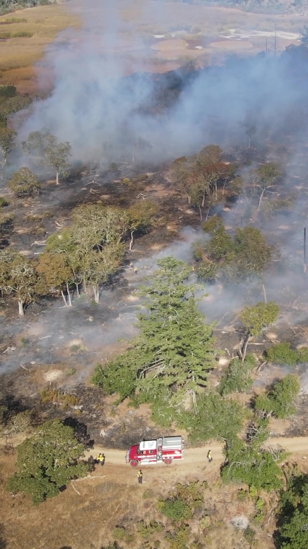 Tuesday at Trione-Annadel State Park, crews from CAL FIRE and California State Parks were able to treat 10 9 acres as part of a prescribed burn that was years in the making There is still more work