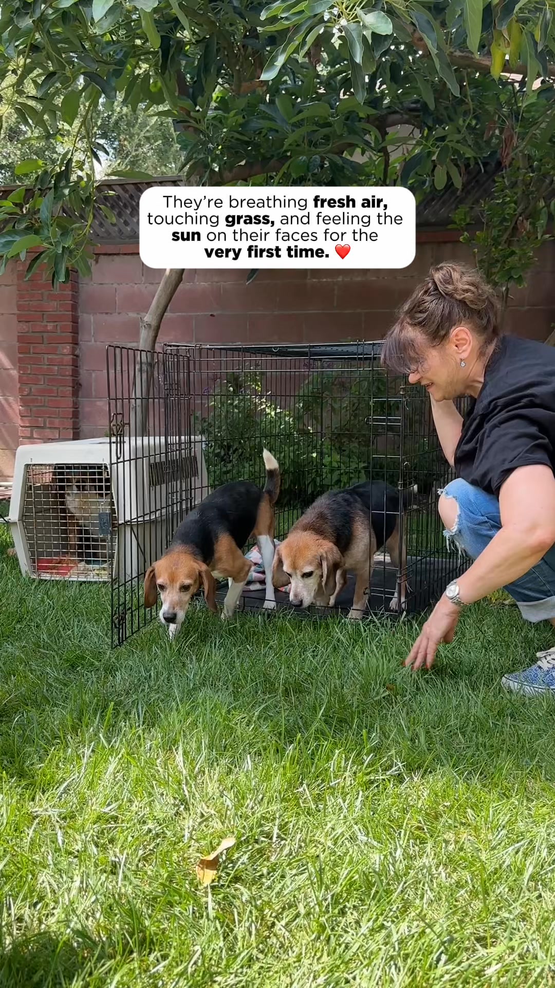 Happy #FirstStepsFriday! Here’s some heartwarming footage from our ...