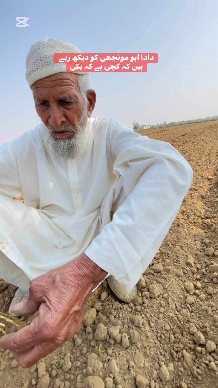 دادا ابو مونجھی کو دیکھ رہے ہیں کہ کچی ہے کہ پکی ...