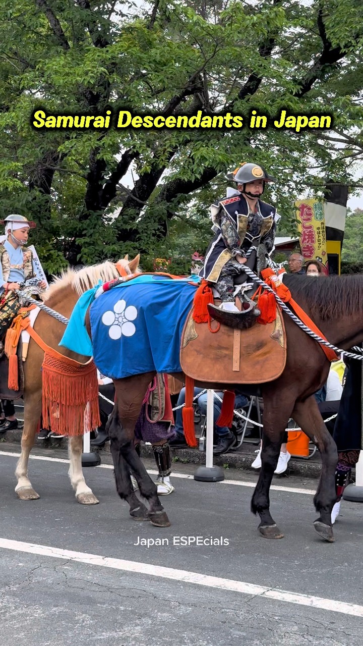 Horses parade in colorful 'Chagu Chagu Umakko' festival