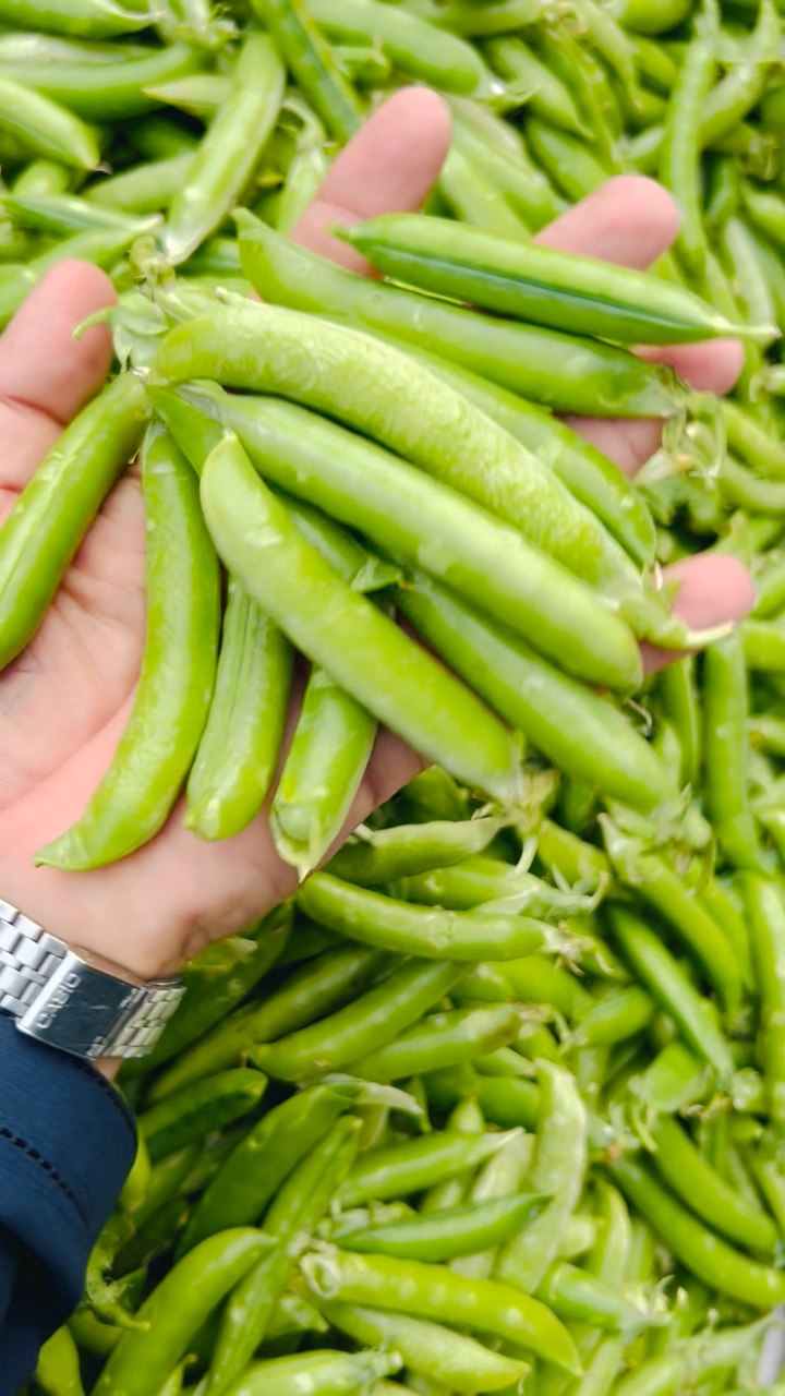 ہے نا عجیب سا | Sabzi Mandi wala | Facebook