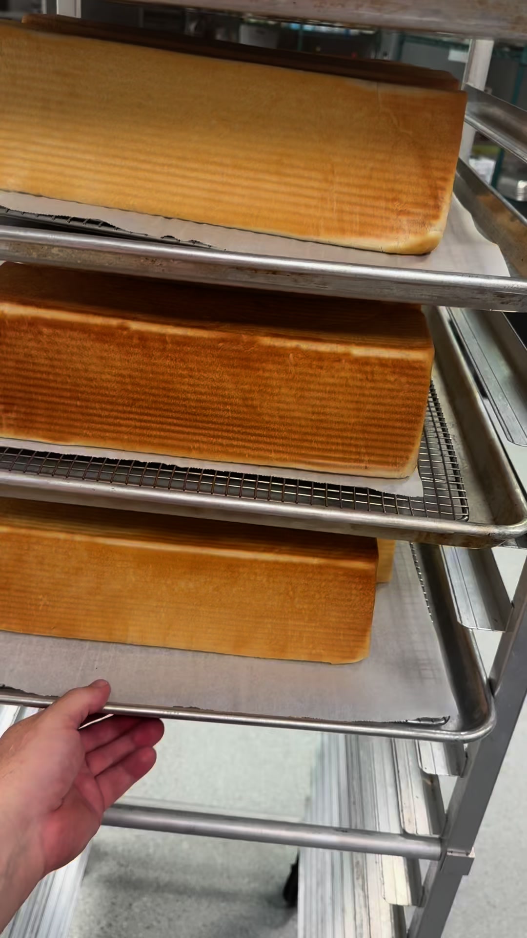 Silk Road Bakery on Reels | Facebook
