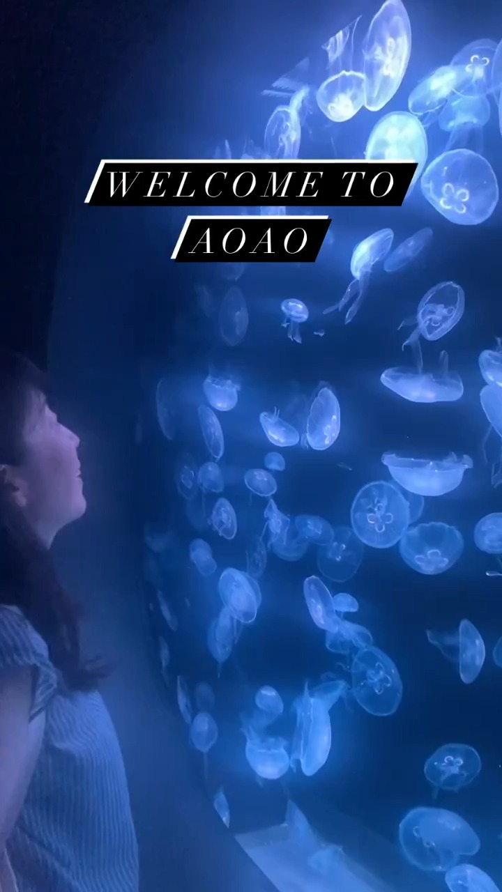 AOAO Sapporo is Sapporo's newest urban aquarium located right in