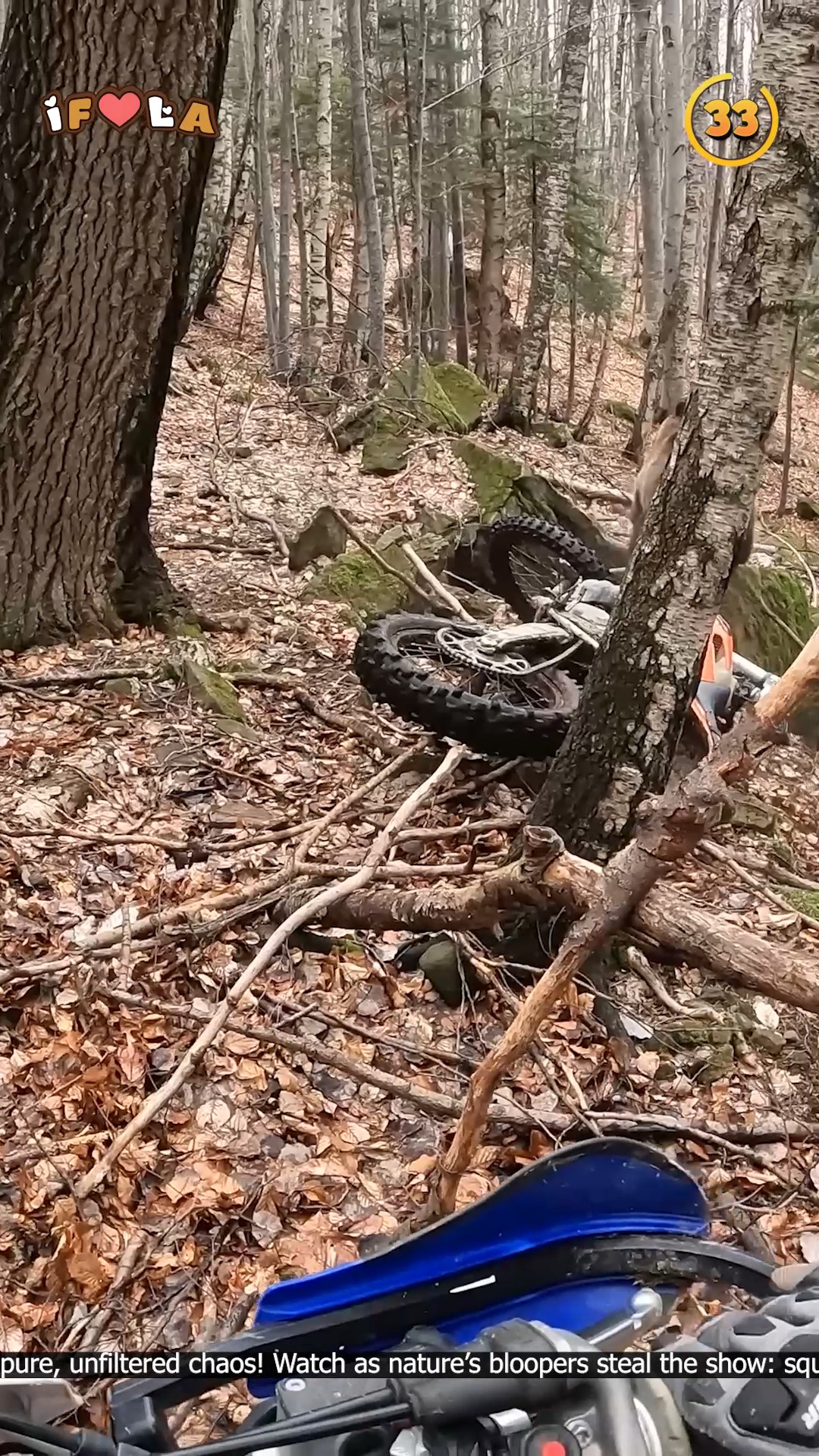 Unscripted Animal Planet😬😮 | I Freaking Love Animals | Facebook