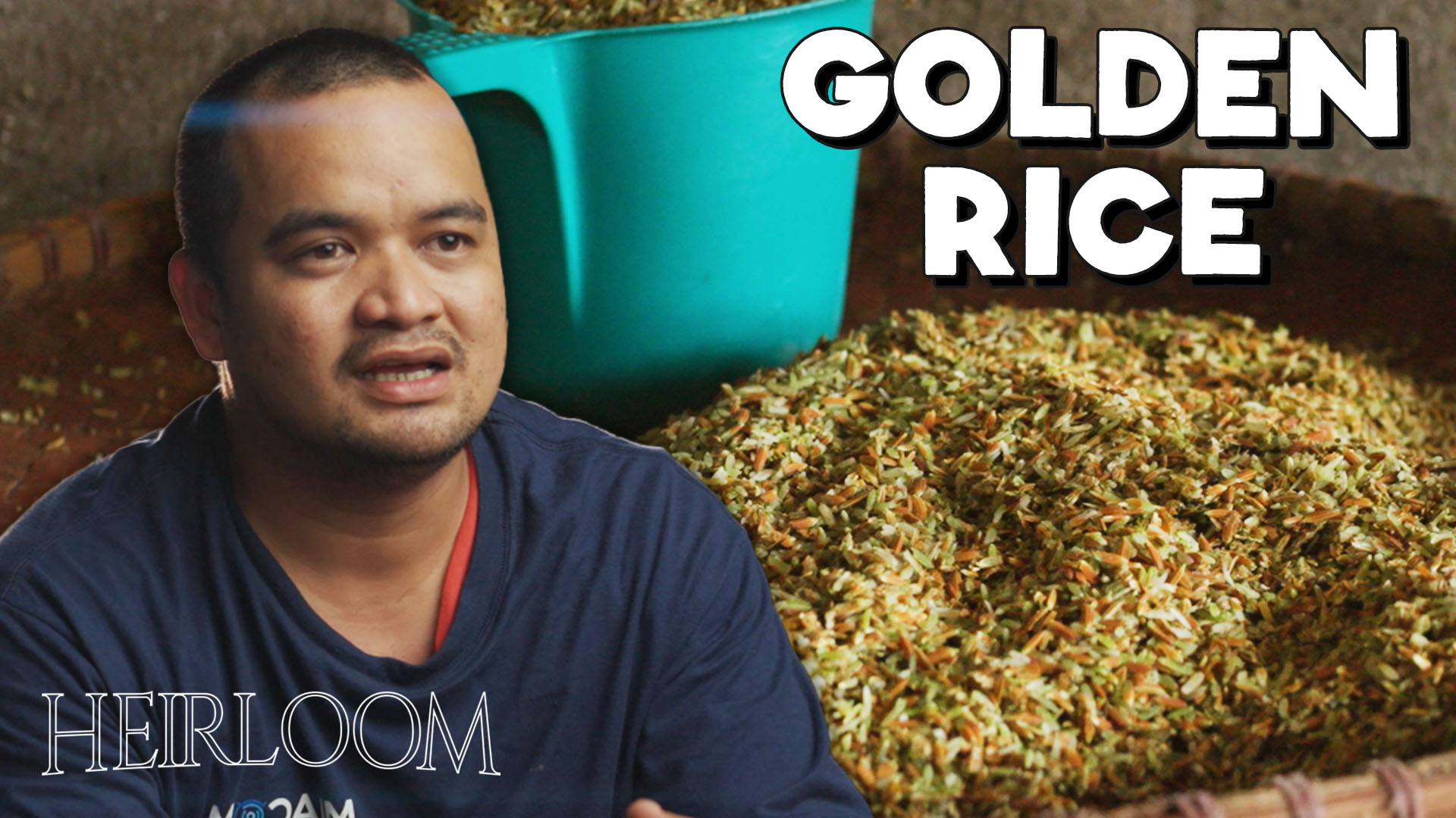 FEATR - The “Green Gold Rice” can be found in Pampanga,... | Facebook