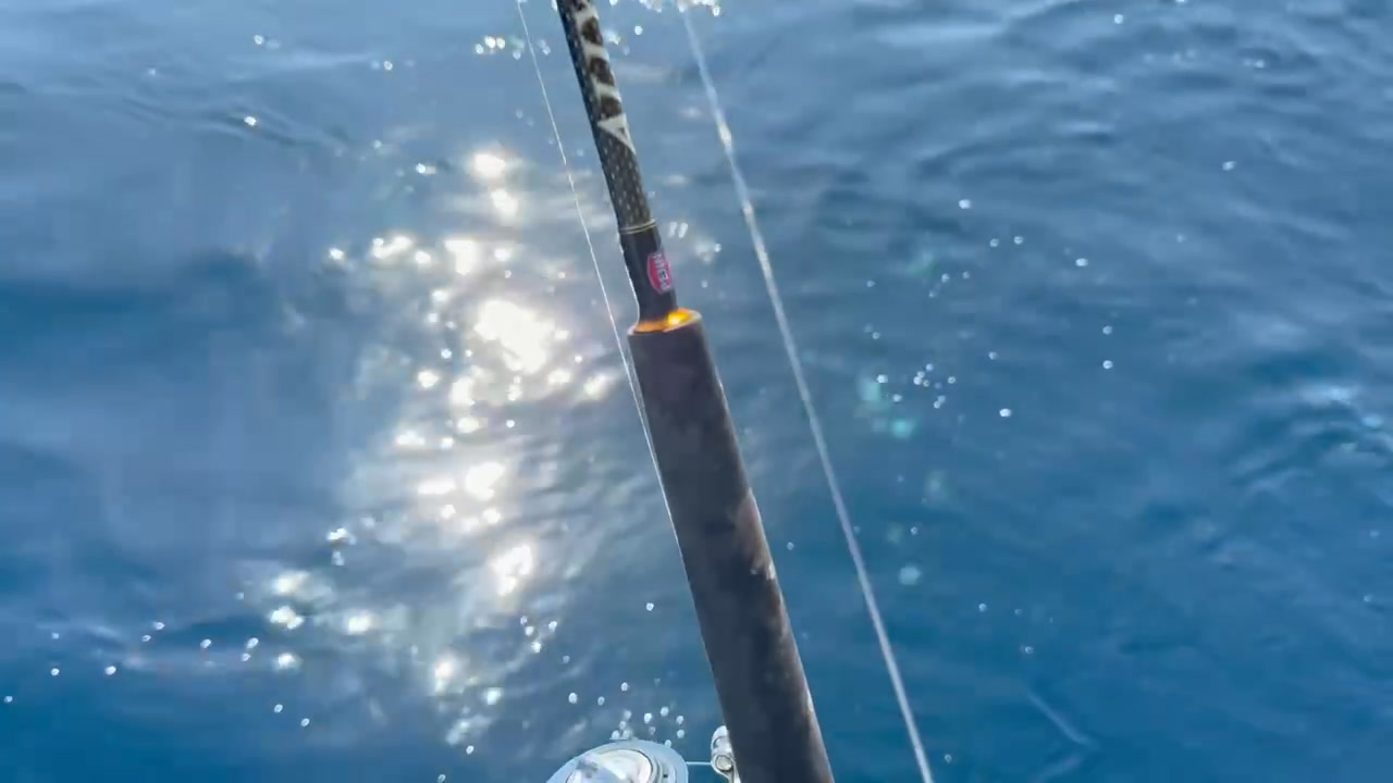 dolphin fishing rod and reel Fin Legacy Spinning Trolling | Offshore Versatility whether its throwing small artificials in the wash or launching heavy weights and bait chunks well past the breakers. Has anyone ever caught a