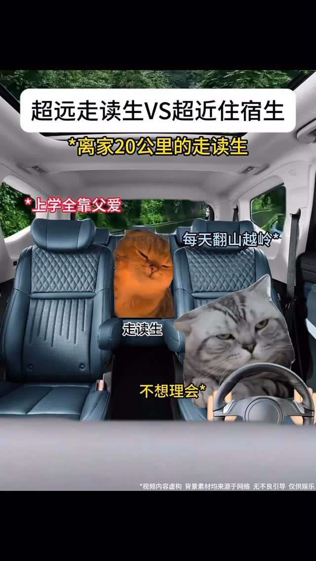 超远走读生VS超近住宿生 . . . . #猫meme #00后 #真实还原 #搞笑 #猫meme小剧场 #万万没想到 #内容过于真实 ...