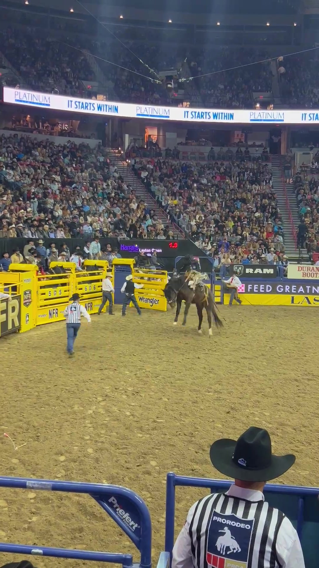 Dance Hall Dreamer was highest marked horse of the night !! | Mike ...