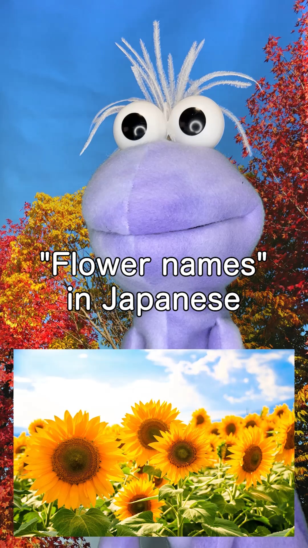 Flower names