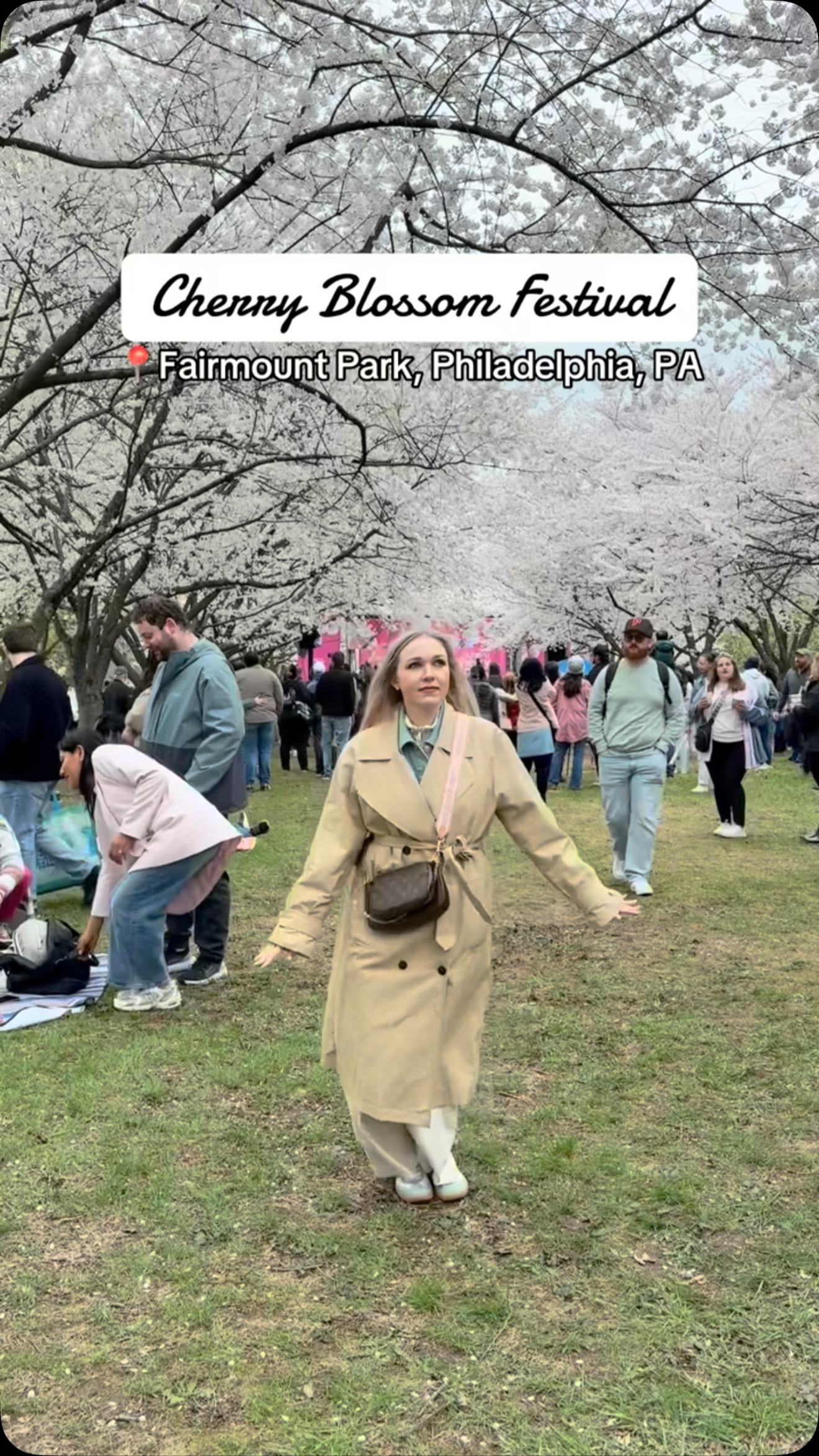 Spring in Philadelphia means cherry blossoms and the Cherry Blossom ...