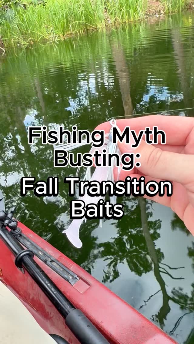 Photo inspiration: Picture Idea: Baitfish Imitation Baits For Fishing The Fall Transition Fishing Myth