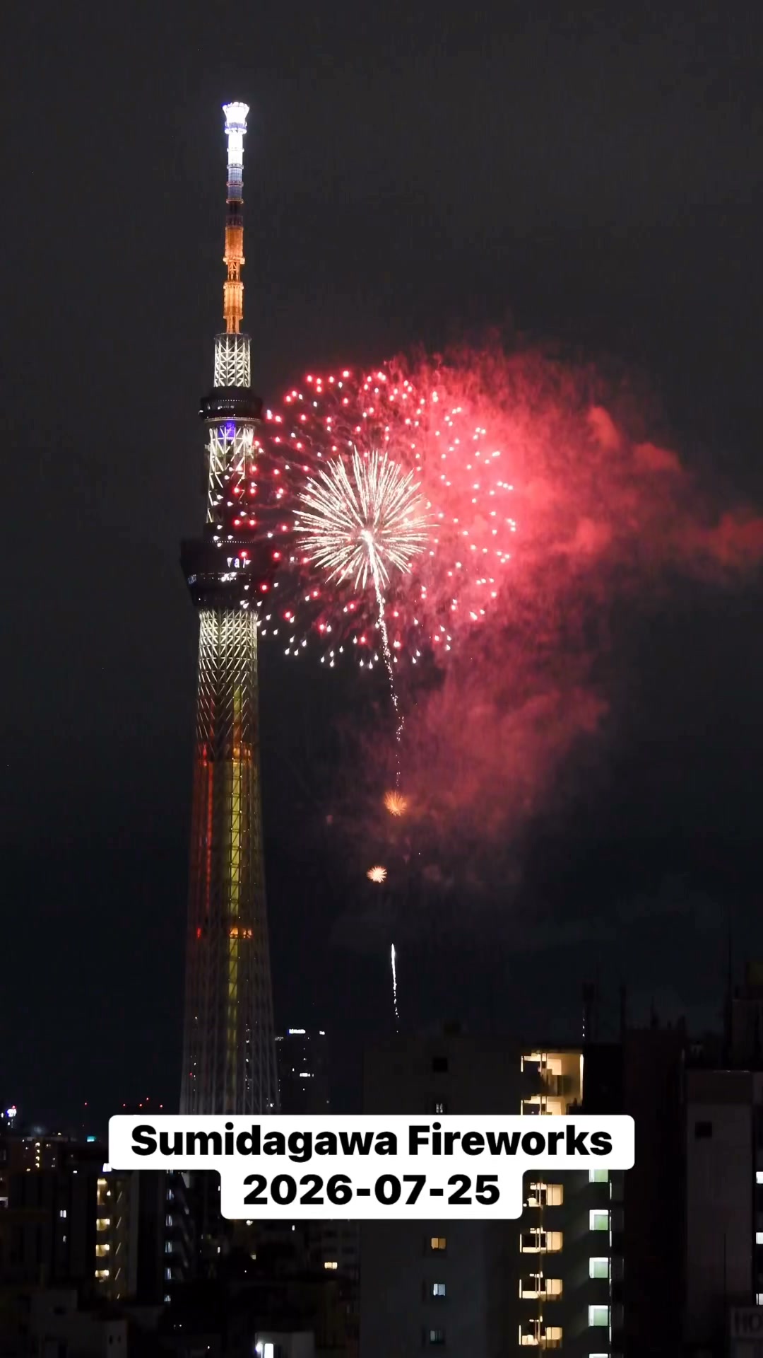 ✨🎆 The Sumida River Fireworks Festival was absolutely beautiful