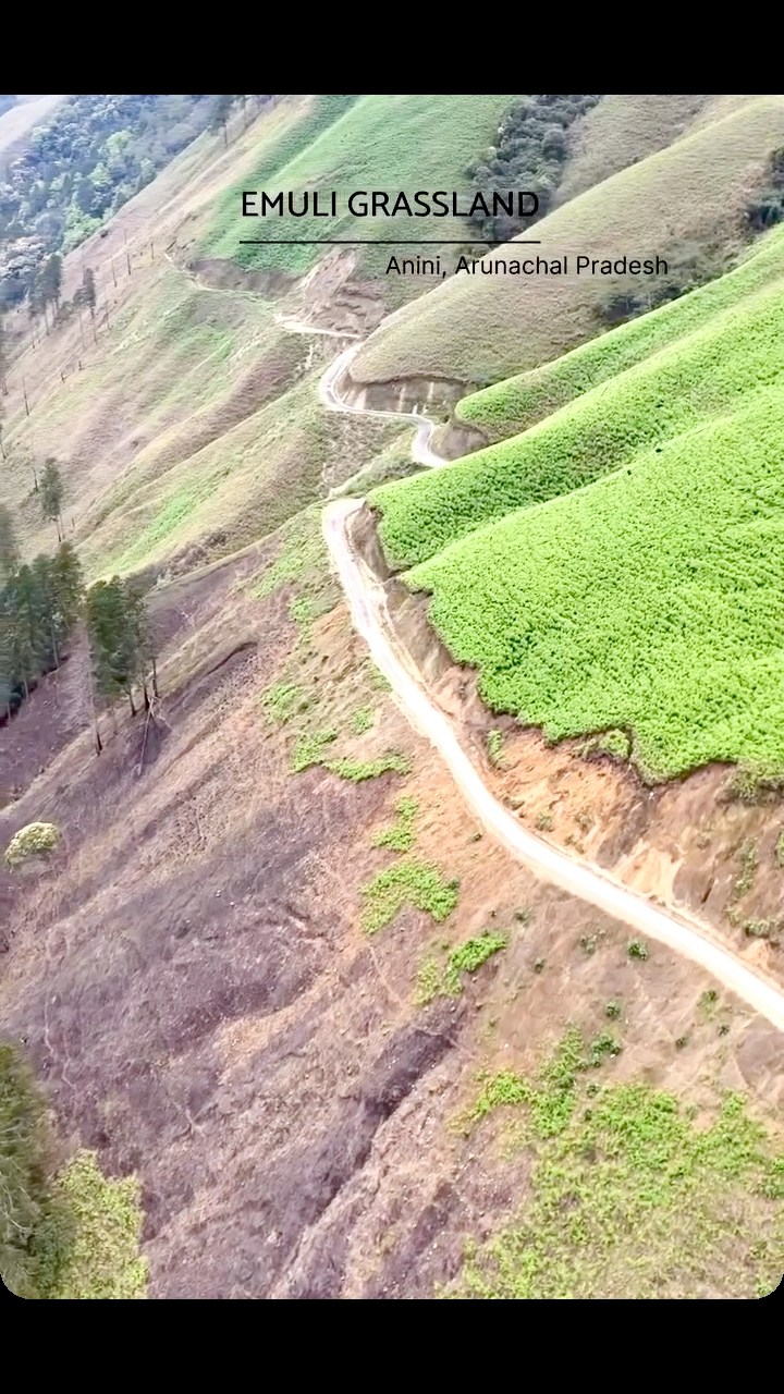 The mesmerising Emuli Grassland! #dibangvalley #dibangvalleytourism # ...