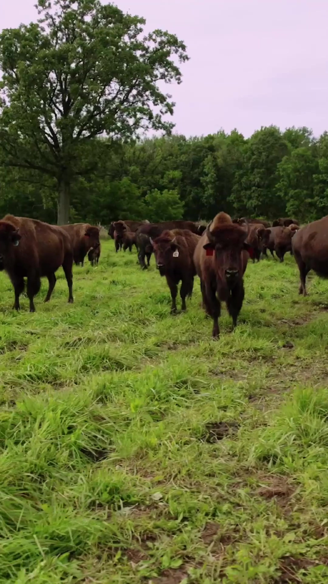 Revisit Wisconsin’s tribal lands with us! This Discover Wisconsin ...