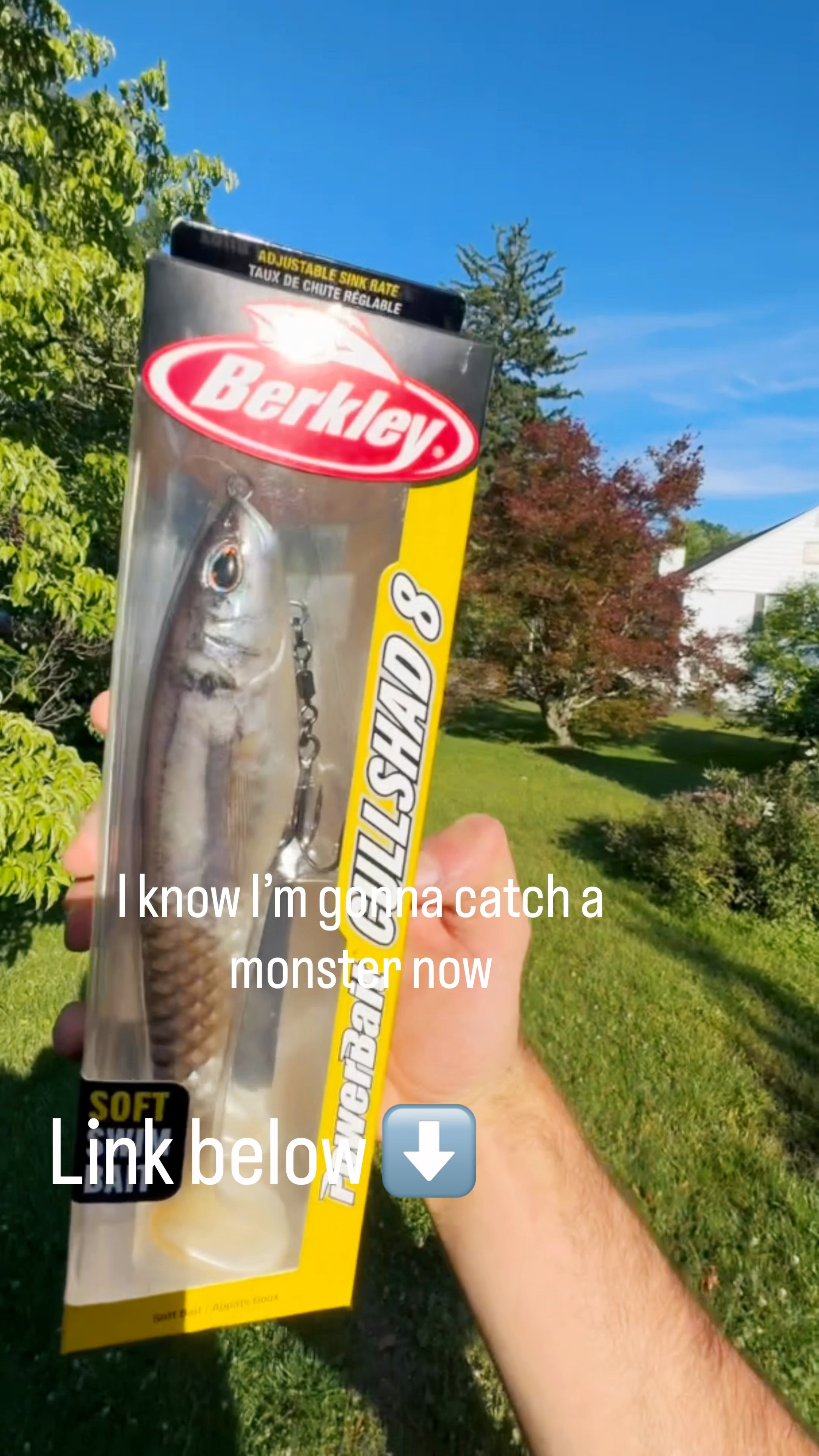 12” Trout. How to rig w/rigging insert. (video: natesbaits